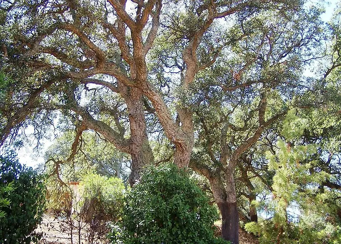 Ristorante Funtana Abbas 3*